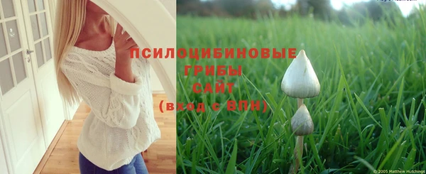 бутират Арсеньев