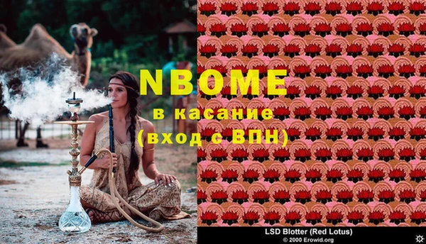 прущие грибы Балахна