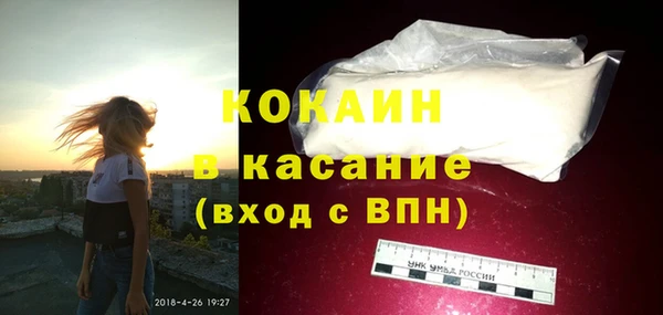 сатива Аркадак