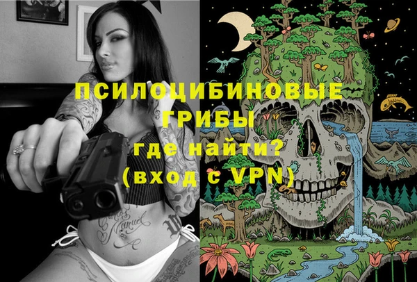 сатива Аркадак