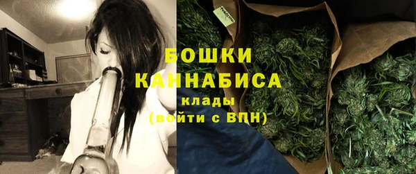 прущие грибы Балахна