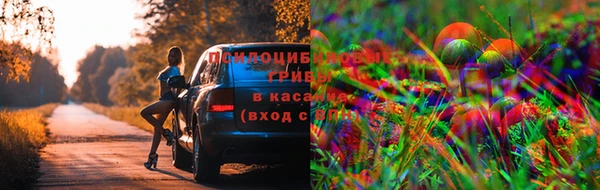 прущие грибы Балахна