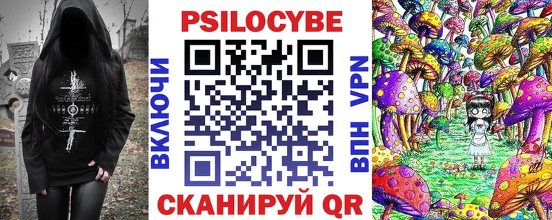 сколько стоит  Георгиевск  Псилоцибиновые грибы мицелий 