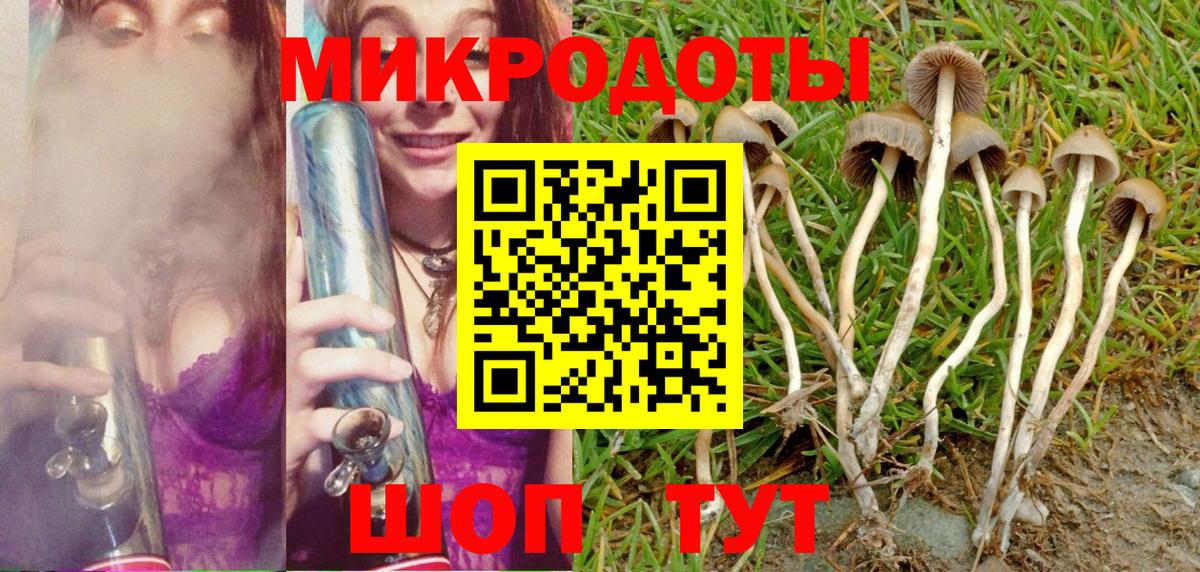 Георгиевск  Псилоцибиновые грибы MAGIC MUSHROOMS  Вход с VPN  Галлюциногенные грибы Psilocybine cubensis 